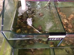 -四海鲜渔家菜(黄金海岸店)