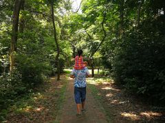 -南宁良凤江国家森林公园