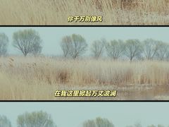 -野鸭湖国家湿地公园