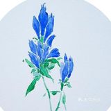 我什么时候也可以给自己画可爱的头像呀[调皮]