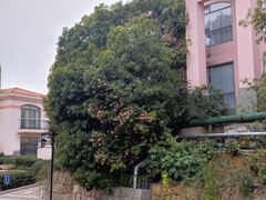-圣爵菲斯大酒店(长沙世界之窗店)