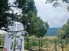 -树山生态村