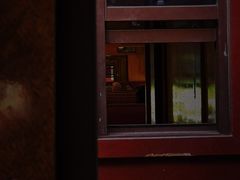 -热带雨林自然公园