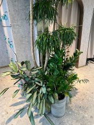 -P.STYLE 派斯造型
