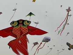 -潍坊滨海云门国际风筝放飞场