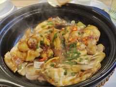 -鸽小宝(深圳首店)