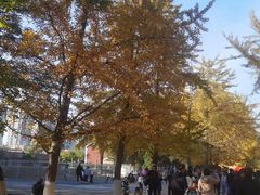 -辽宁大学(崇山校区)