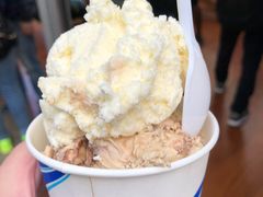 -怀托摩萤火虫洞