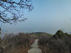 -北京西山国家森林公园