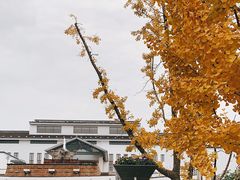 -苏州香山国际大酒店