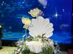 -烟台海昌鲸鲨海洋公园