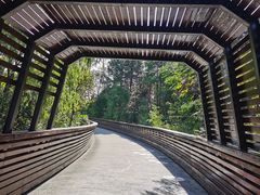 -昆山城市生态森林公园