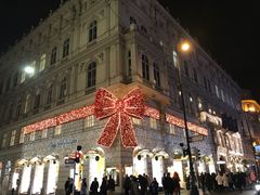 -斯蒂芬主教座堂(Stephansdom)