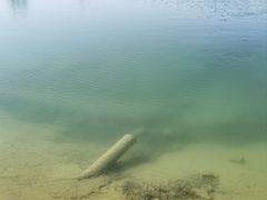 -兴芮温泉度假区