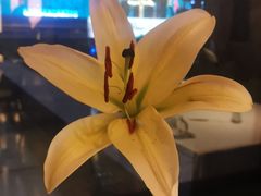 -潮上潮(南中环店)