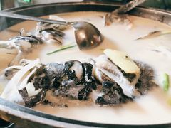 千岛湖鱼头-丰乐餐厅·始于1999·本地老字号