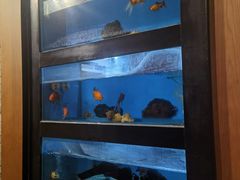 -长春凯悦酒店-品悦中餐厅