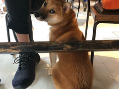 -艾蜜西餐厅(梅园店)