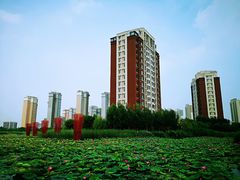 -天津东丽湖风景区