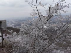 -紫金山山顶公园