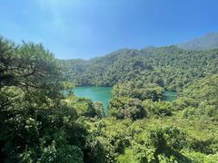-鼎湖山风景区