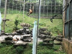 -宁波野生动物园