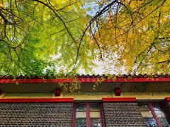 -四川大学(望江校区)