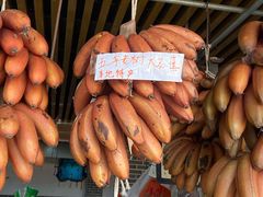 -大湾区中央湿地公园-十九涌