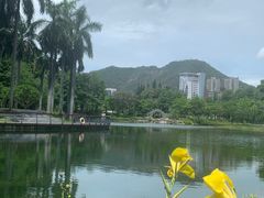-四海公园(南山区)