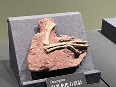 -遇见博物馆(遇见海洋沉浸式奇幻光影展)
