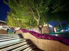 -西安电影制片厂