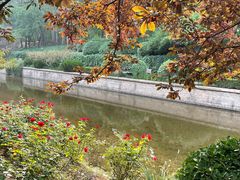 -元大都城垣遗址公园