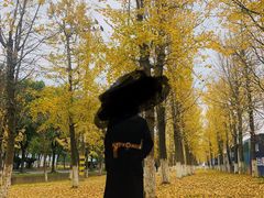 -东钱湖水上乐园(南门)