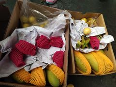 -新鸿港水果市场