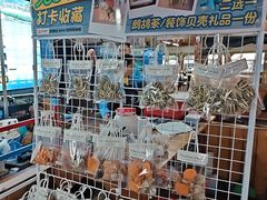 -蓝湾碧波·老字号·疍家非遗海上餐厅