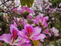 -南宁市凤岭儿童公园