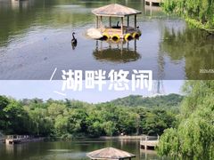 -青岛海滨风景区
