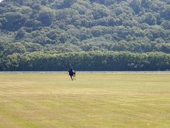 -平湖九龙山庄园圣马可酒店