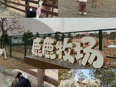-盈香心动乐园