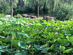 -南戴河国际娱乐中心