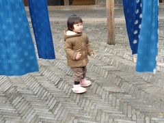 -乌镇东栅景区