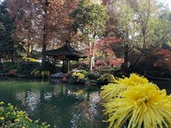 -杭州植物园