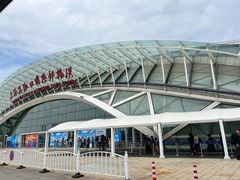 -吴淞口国际邮轮码头-停车场