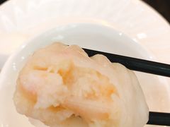 添运来虾饺皇-添运来(茶园奥园广场店)
