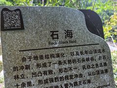 -霸王岭国家森林公园