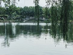 -雨湖公园