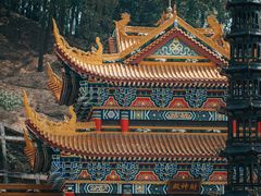 -东莞市大岭山森林公园