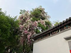 -深圳国际园林花卉博览园