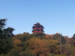 -阅江楼风景区