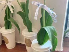 -milch·t妙奇(五大道店)